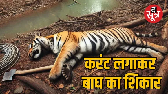 Bandhavgarh Tiger Reserve hunting of tiger electrocuting