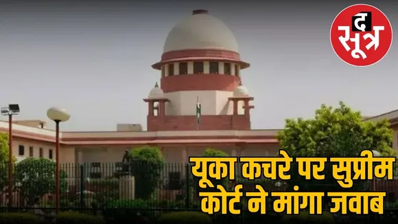 Yuccacase reaches Supreme Court
