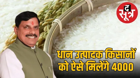 dhan kharidi mp