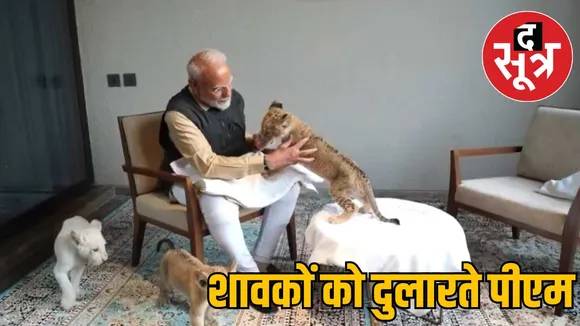 pm-modi-lion