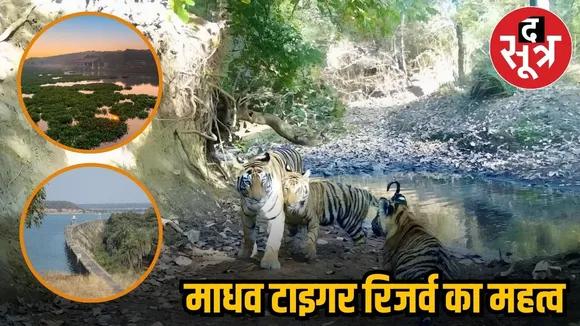 tiger reserve