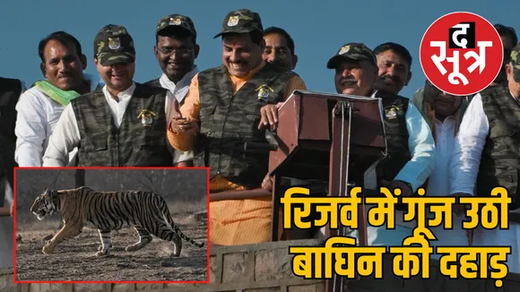 madhav tiger reserve mp shivpuri new tiger release