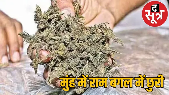 Ganja smuggling guise sadhu Police caught two the sootr