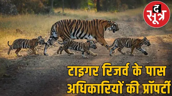 tiger reserve ifs