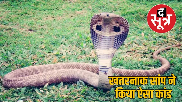 Meerut UP young man snake bite death Case