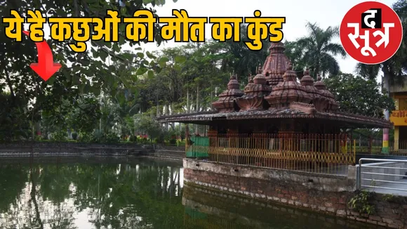 Death of turtles in Mahamaya temple Bilaspur the sootr