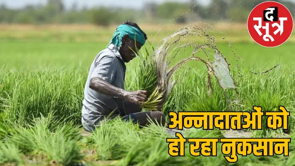 Farmers not getting benefit PM crop insurance scheme the sootr