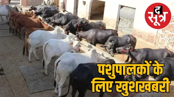mp-dairy-subsidy