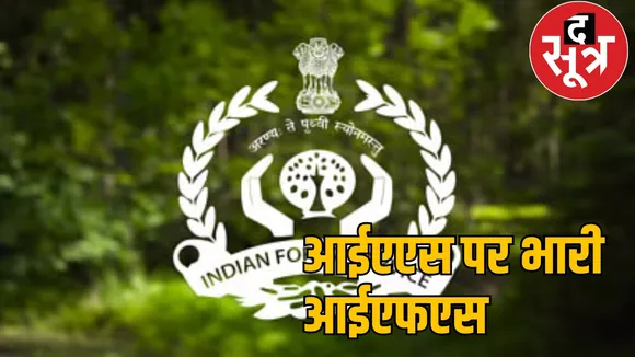Chhattisgarh's top 10 IFS crorepatis, PCCF has more property than the chief secretary the sootr