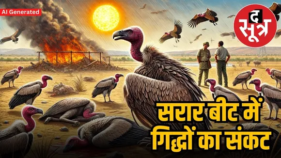 6 गिद्धों में से 3 की मौत
