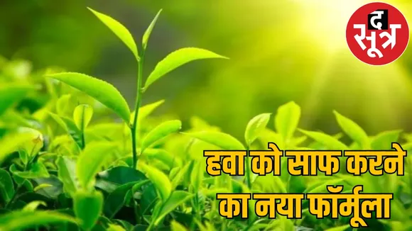 Plants worth 1.5 crores planted on paper clean air