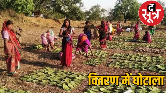 Scam in distribution of tendu leaf incentive amount 11 forest produce committee managers suspended the sootr