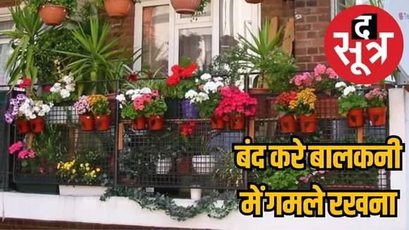 noida-authority-bans-flower-pots-in-balconies