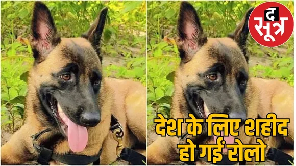 Dog Rollo martyred Karregutta hill expedition honoured with medal the sootr