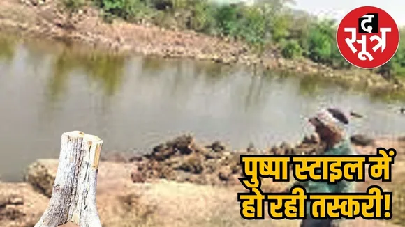 Khair wood smuggling in Gwaliior 