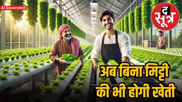 hydroponic farming