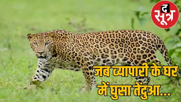 Seeing door leopard entered bathroom family chattisgarh the sootr
