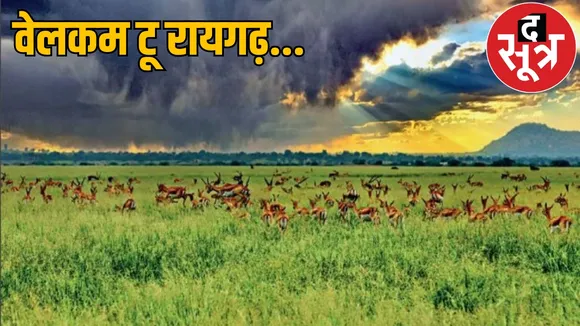 Raigarhs sanctuary has become wildlife spot not jungle safari the sootr