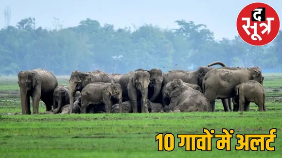 51 elephants create panic 10 villages Forest department issues alert the sootr