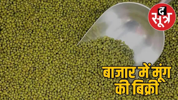moong-toxic-decision