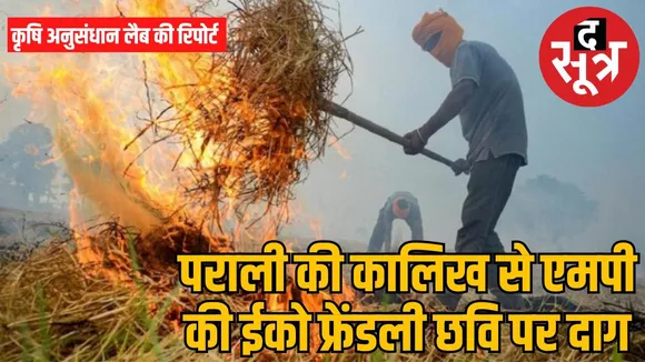 MP leads in burning stubble