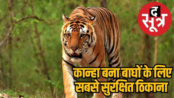 Kanha declared best habitat for tigers in India