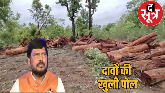 forest-cutting-bastar-adhvale-raipur-chhattisgarh the sootr