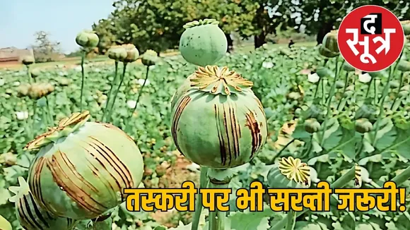 madhya-pradesh-opium-production