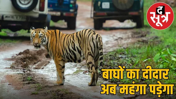 tiger