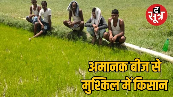 Shock to farmers due to negligence of Seed Corporation the sootr