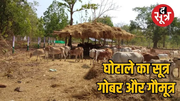 Narva Garva Ghurva scheme found in cow urine the sootr