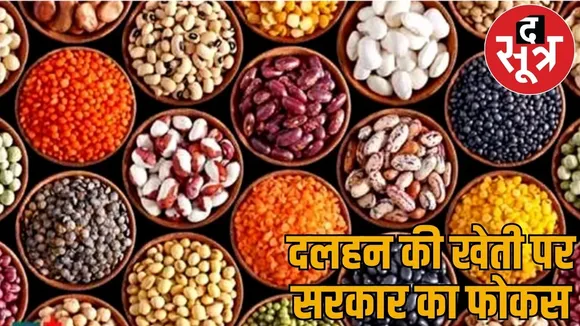 Government give 11000 rupees per acre cultivation pulses