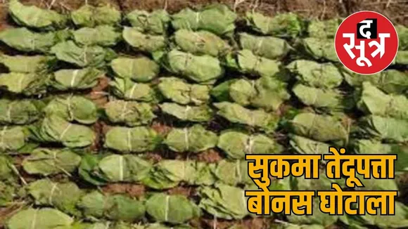 Loot under the leadership of DFO the sootr