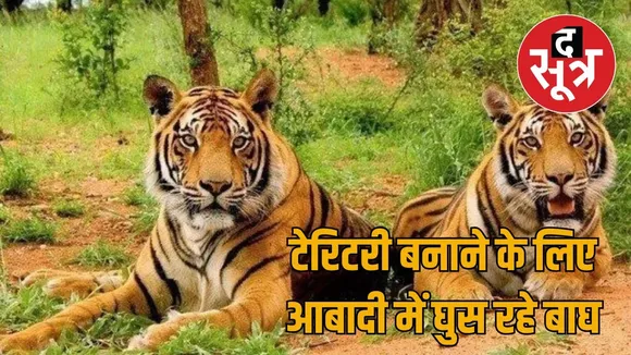 Sariska