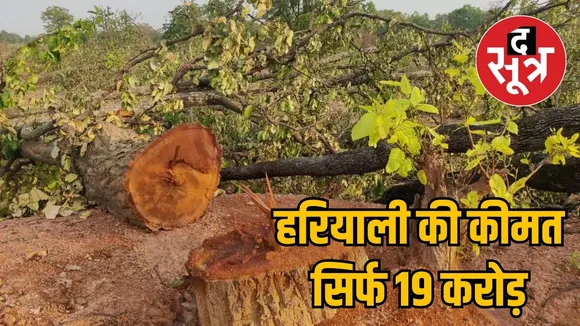 Businessmen are ruthlessly cutting the lungs of Chhattisgarh the sootr