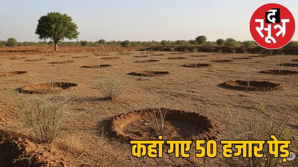 government planted saplings worth 3.5 crores 50 thousand teak amla bamboo trees disappeared the sootr