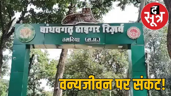 bandhavgarh-tiger-reserve-death-zone-40-tigers-14-elephants