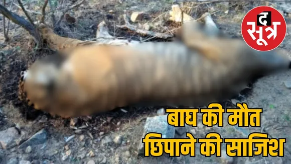 death of tiger
