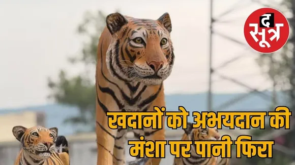 tiger