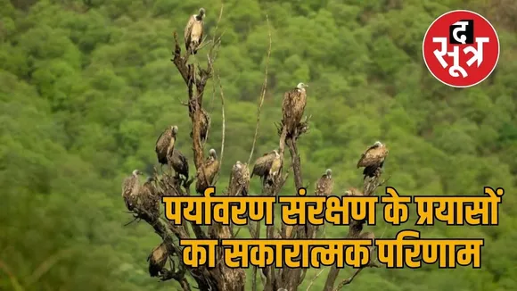 sariska