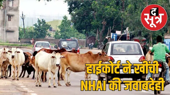 Chhattisgarh High Court strict instructions to NHAI the sootr