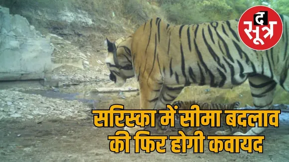 sariska