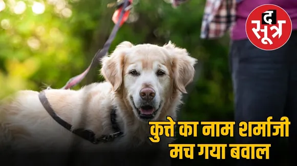 Indoor dog name sharmaji