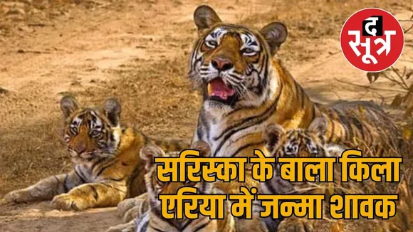 sariska