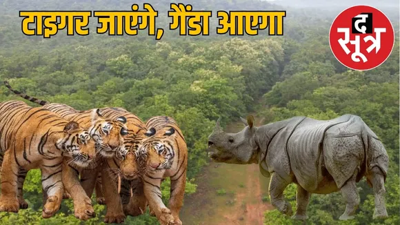 mp tiger assam rhinoceros