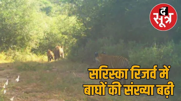 sariska