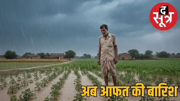 mp-rain-crops-ruined