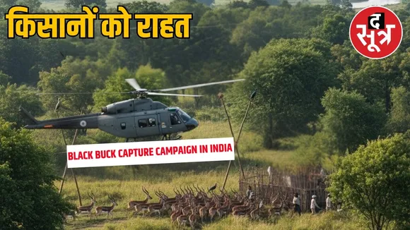 black buck capture