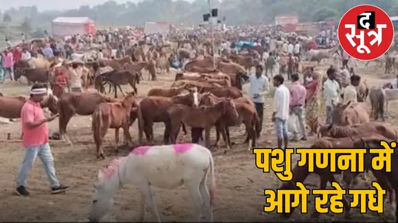Madhya Pradesh Livestock Census