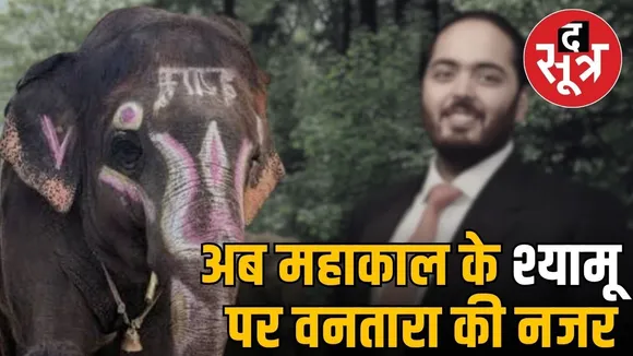 mahakal-elephant-shyamu-vantara-project-controversy-ujjain